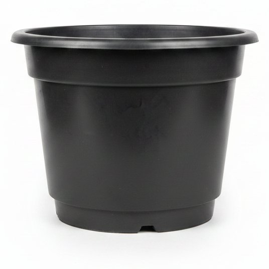 Dayani Super Product F/POT YMS 29CM
