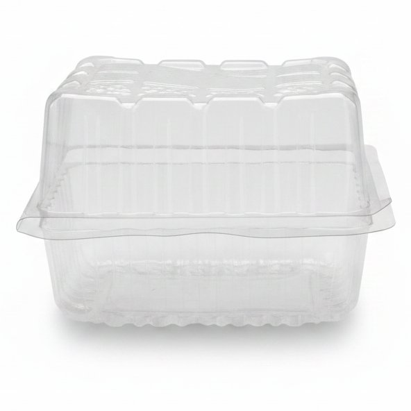 Dayani Super Product PET DOUND TRAY SQ