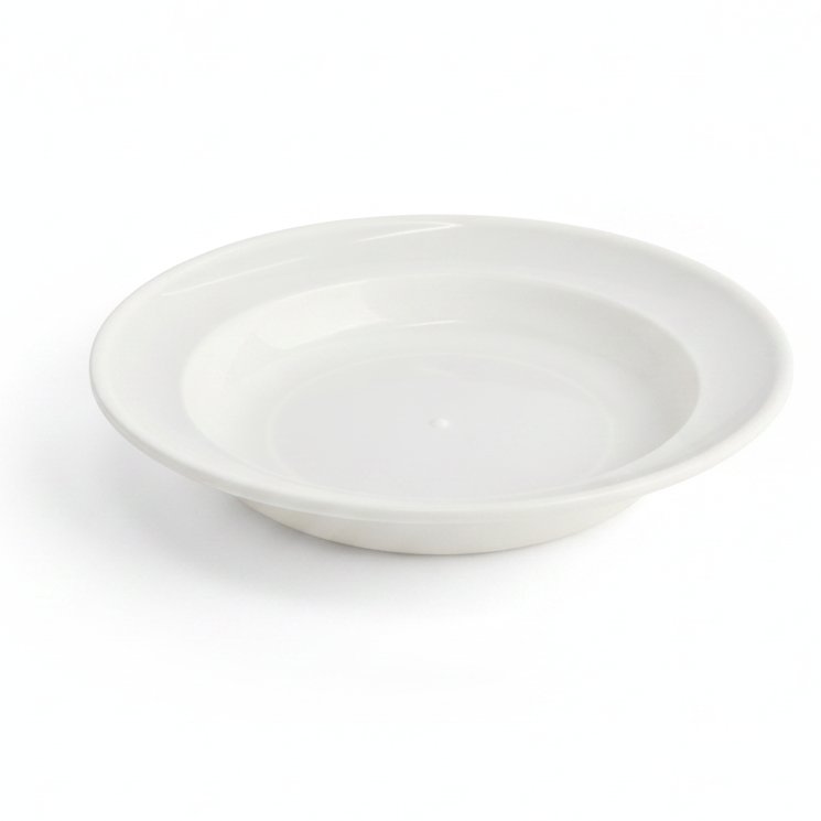 Dayani Super Product LUNCH PLATE H013