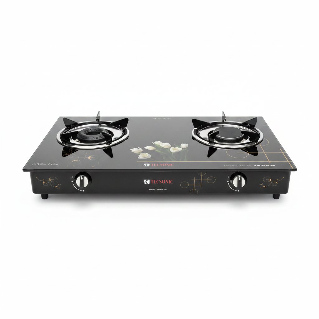 Dayani Super Product GAS COOKER TECSONIC 211