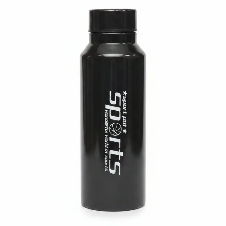 SS/WATER BOTTLE 510
