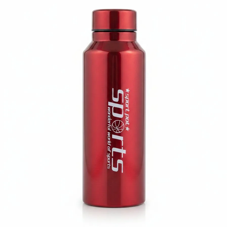 SS/WATER BOTTLE 510