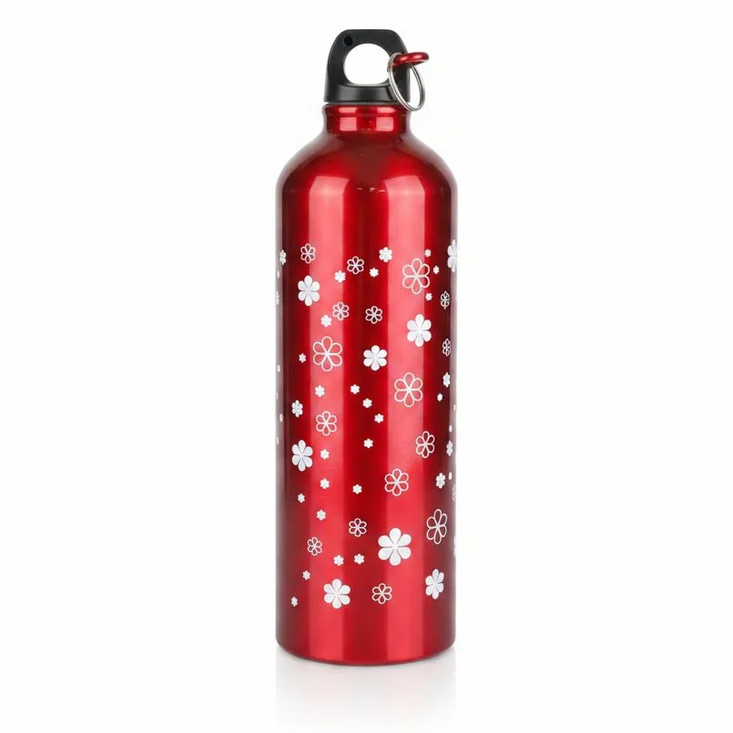 STEEL WATER BOTTLE 750ML