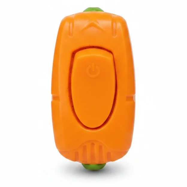 SWITCH 250V