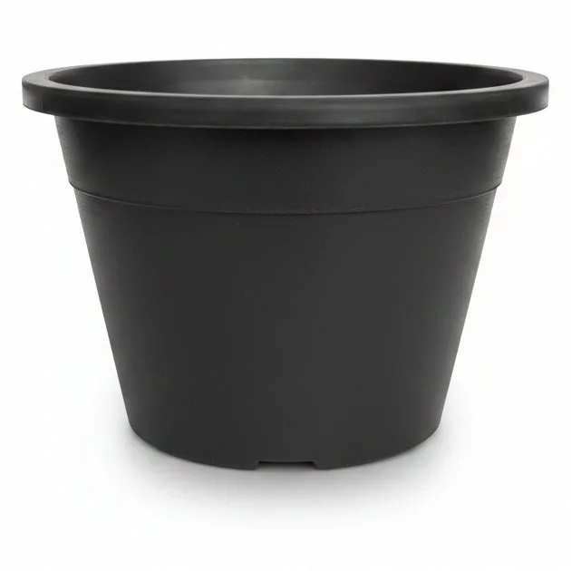 F/POT M2