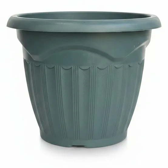 NEW F/POT L