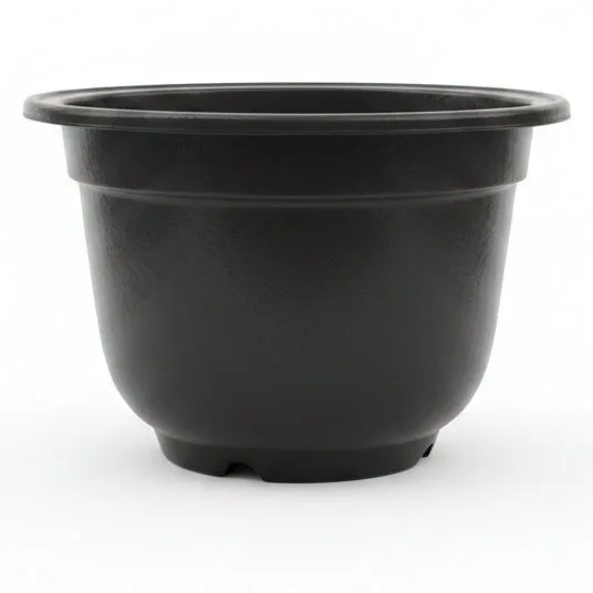 F/POT JD M