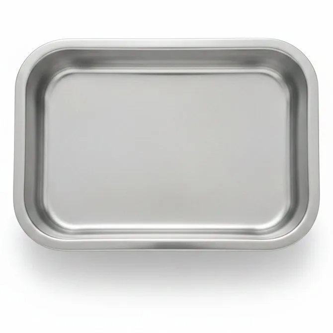 SILVER LAZANYA TRAY NO01