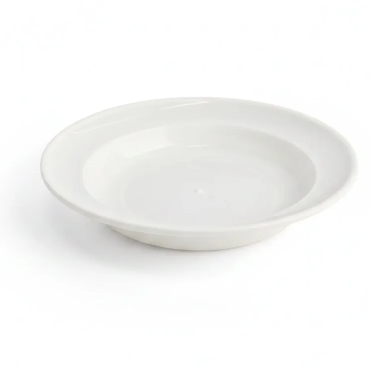 LUNCH PLATE H013