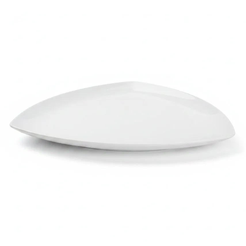 PLATE 10TP
