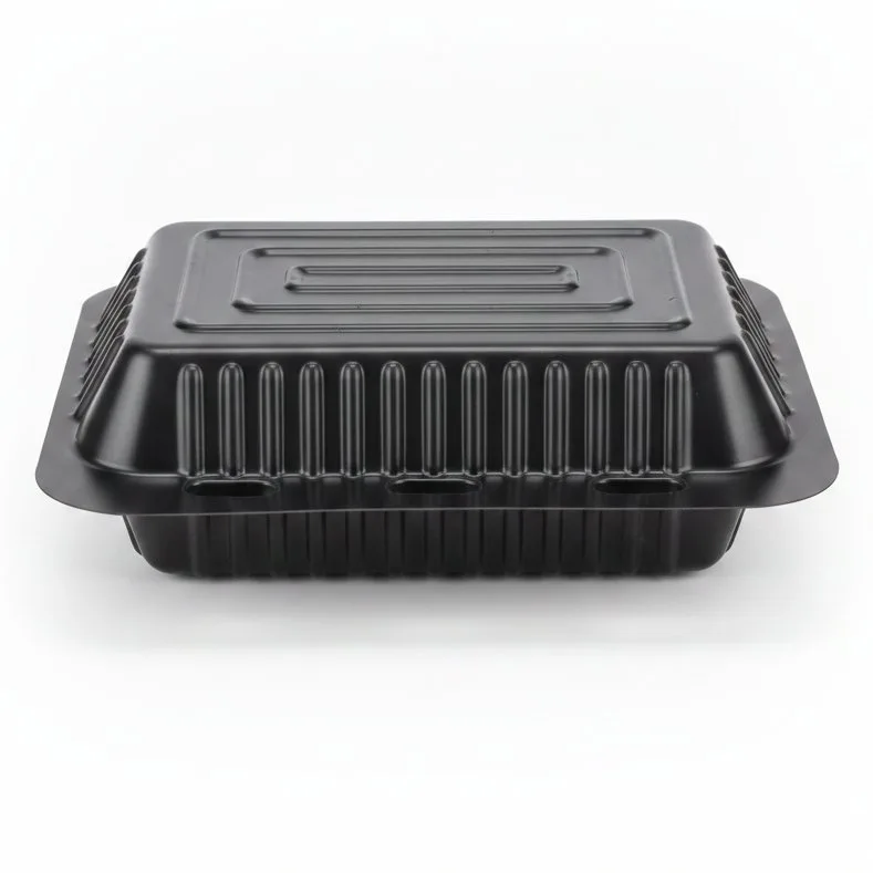 KFC TYPE LUNCH BOX