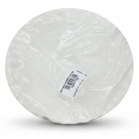 PAPPER PLATE 1X25
