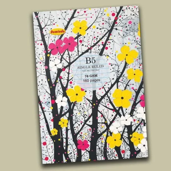 DUMINDU B5 BOOK 160P R