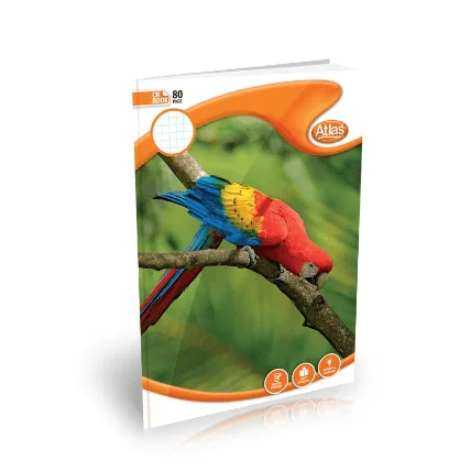 ATLAS BOOK CR 80P SQ