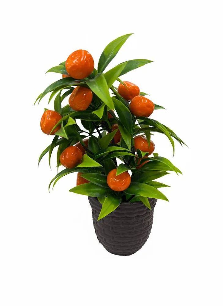 FLOWER VASS RED FRUIT