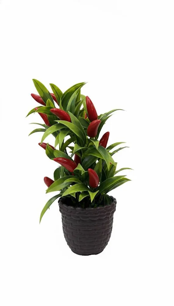 FLOWER VASS RED FRUIT