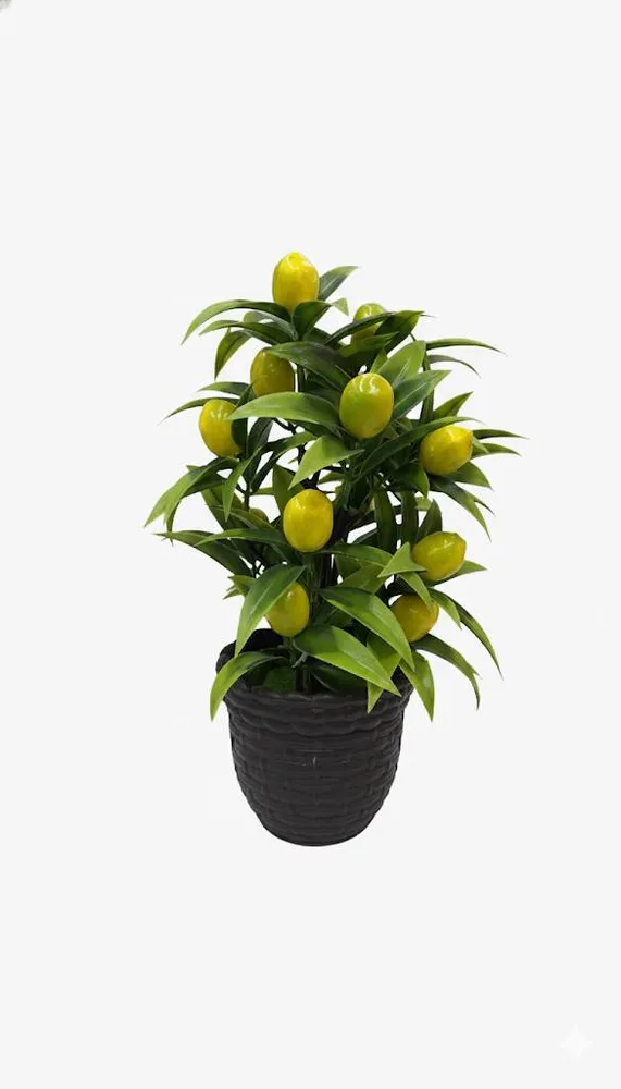 FLOWER VASS RED FRUIT