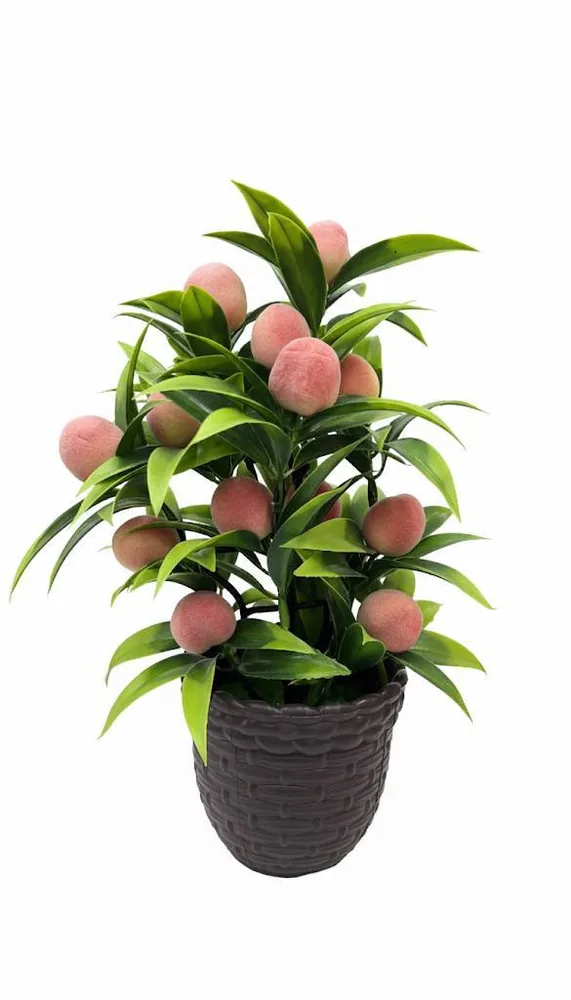 FLOWER VASS RED FRUIT