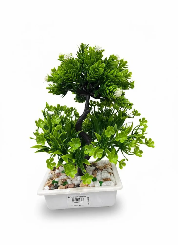 VASS BONSAI TREE L