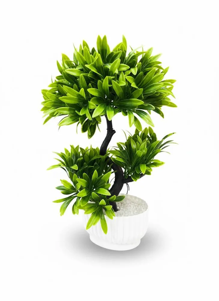 VASS BONSAI TREE L