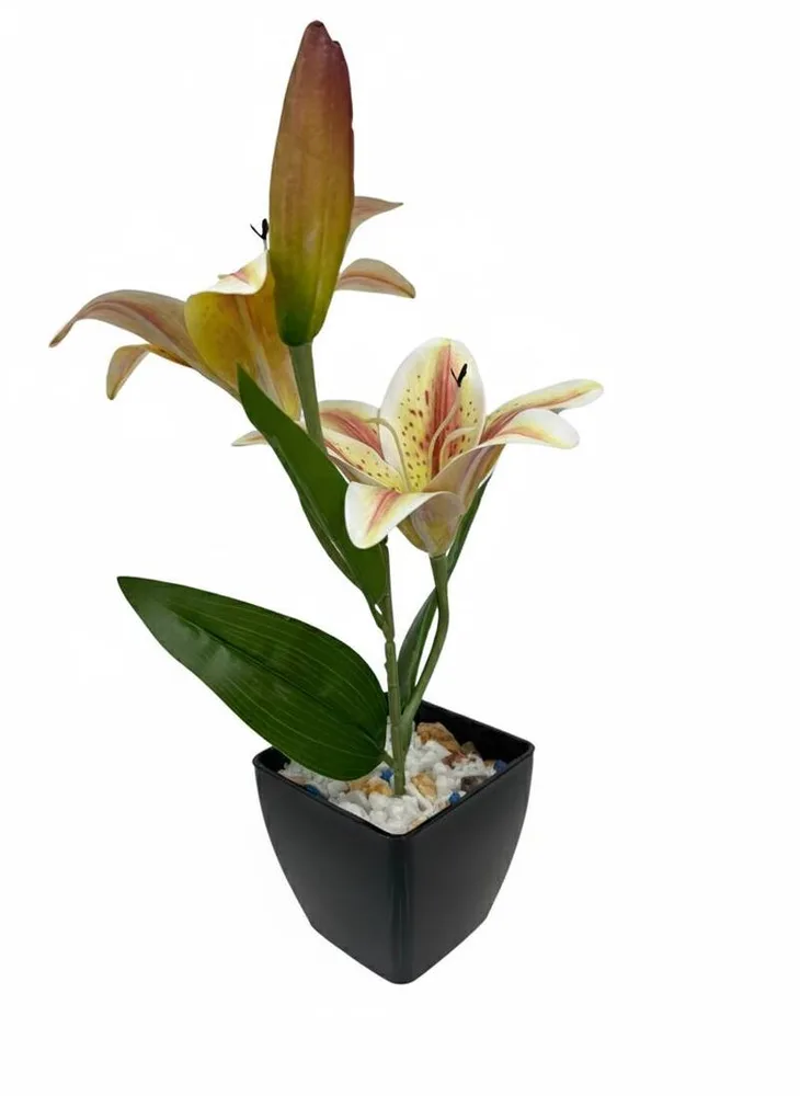 FLOWER VASS LILI