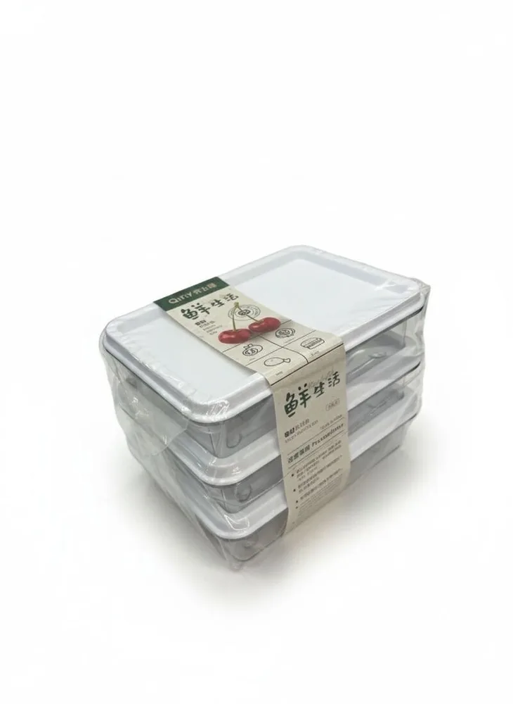 STORAGE CONTAINER QFY-0303