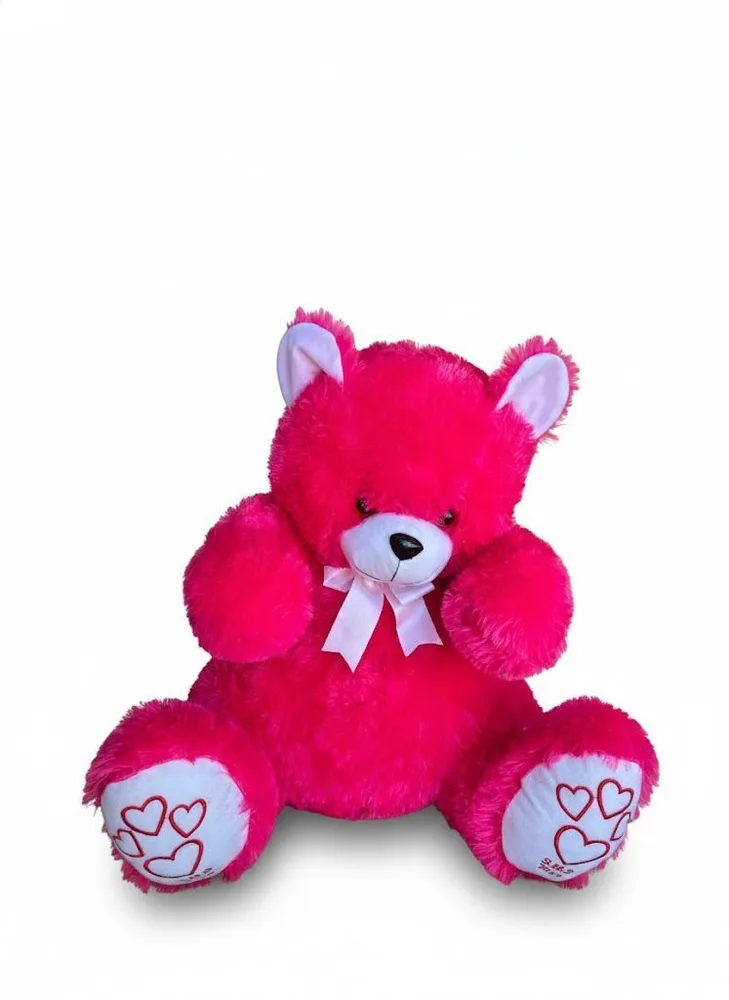 TEDDY BEAR SMS