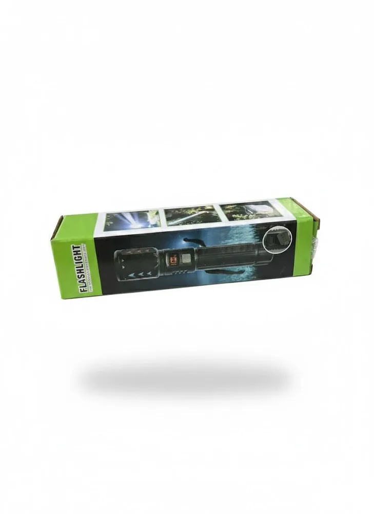TORCH P2-1