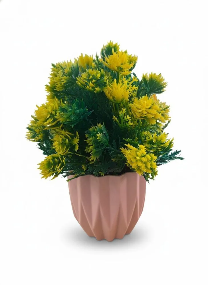 VASS YELLOW BONSAI