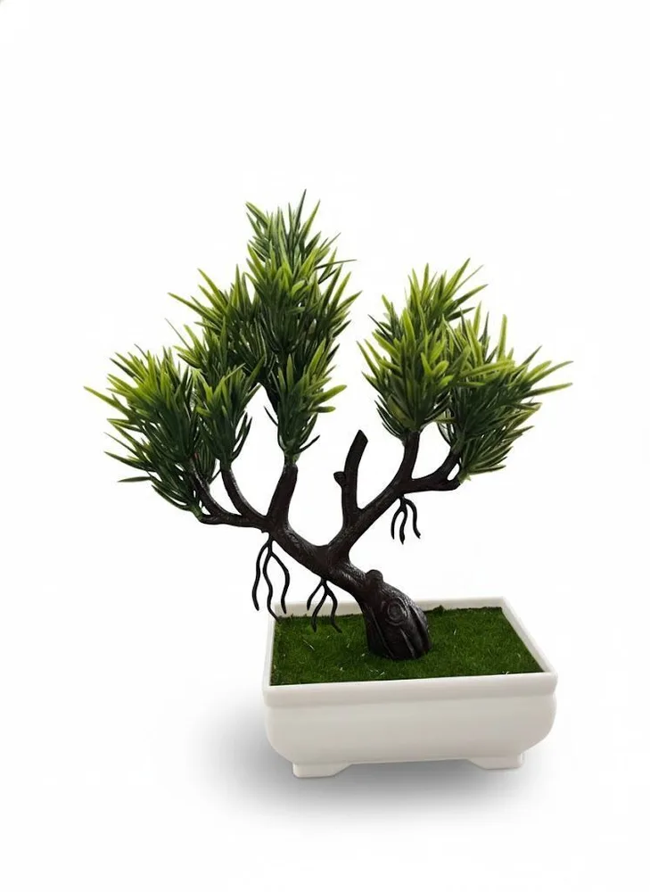 F/VASS MINI POT POHO