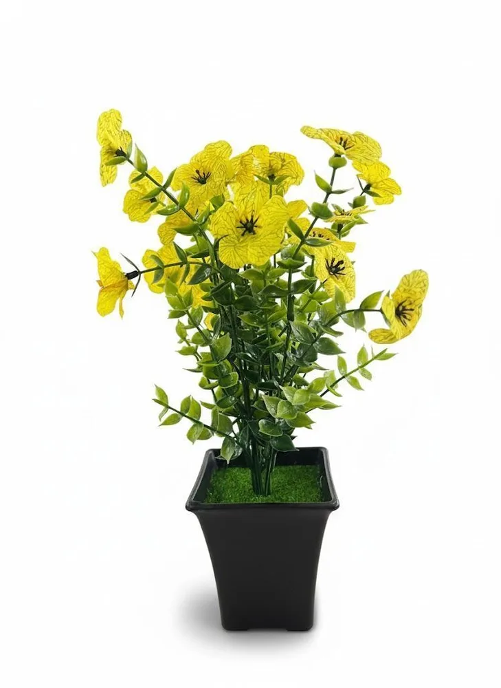 VASS NEW POPO FLOWER