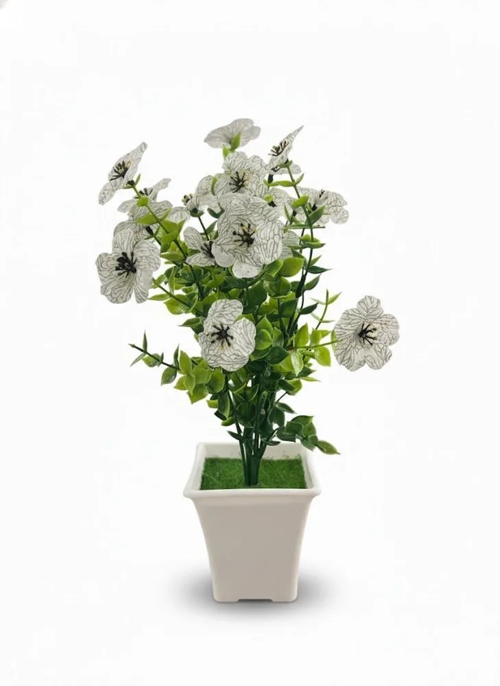 VASS NEW POPO FLOWER