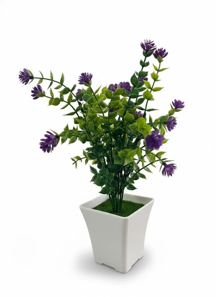 VASS NEW POPO FLOWER
