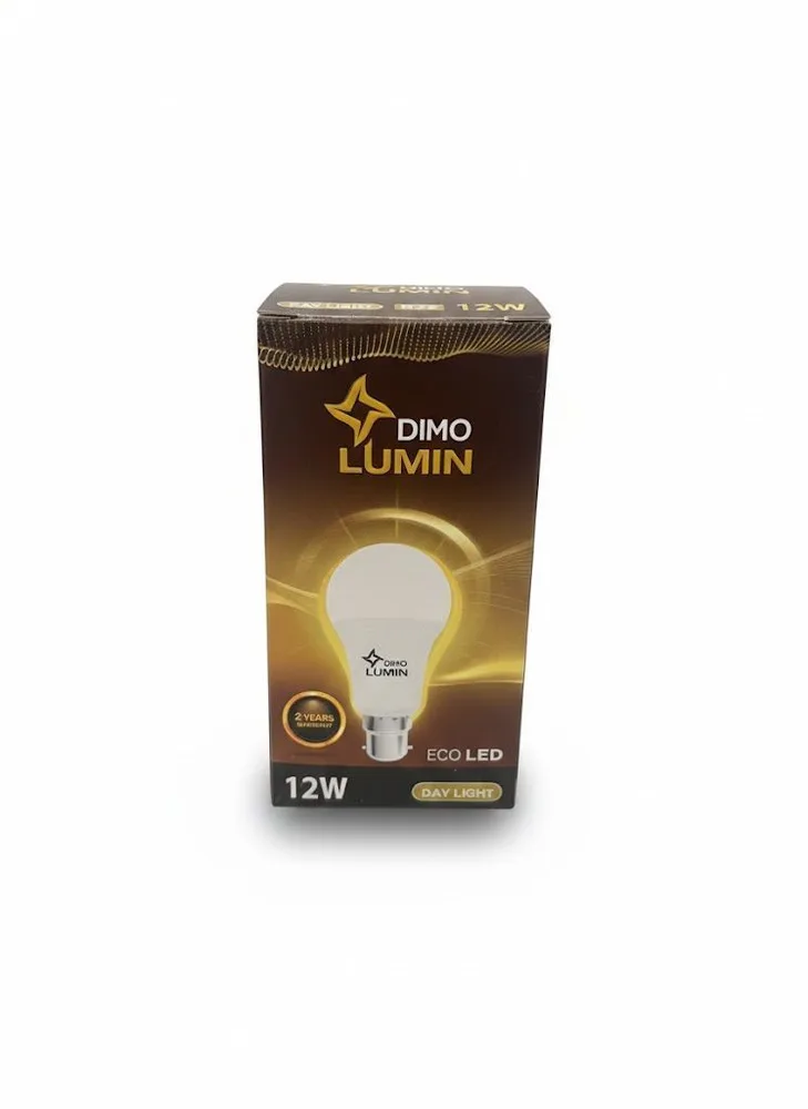 DIMO DAY LIGHT 12W