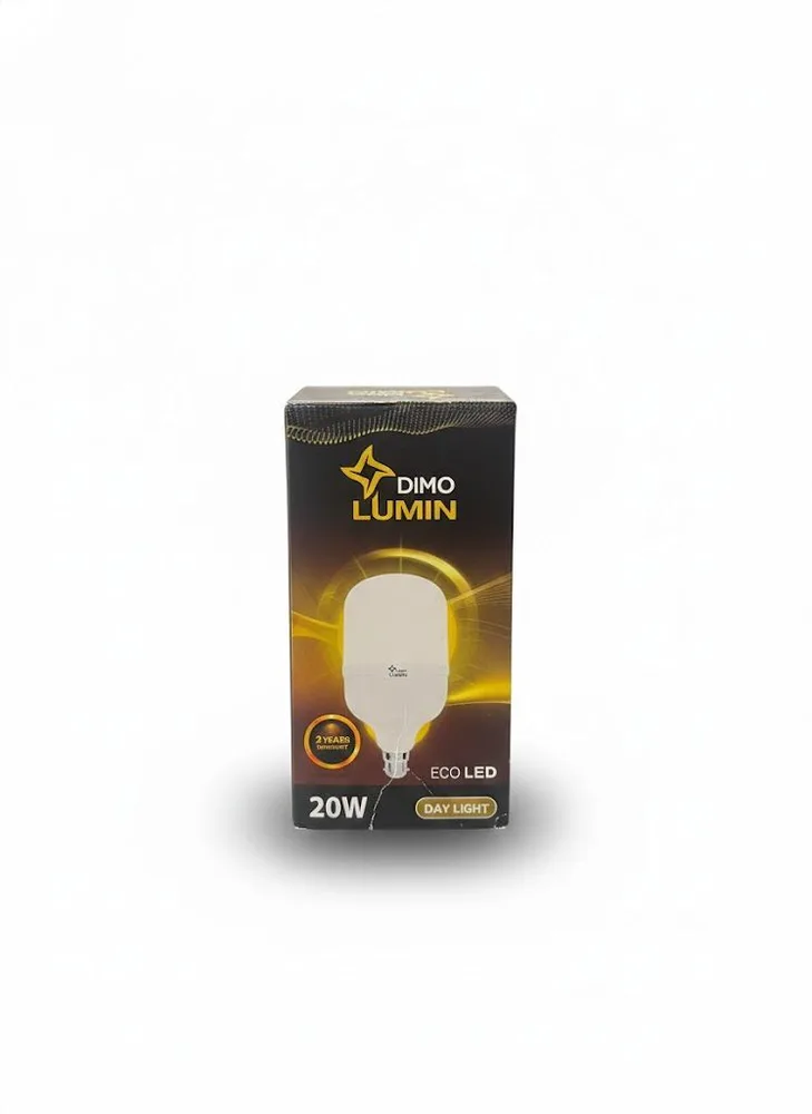 DIMO DAY LIGHT 20W