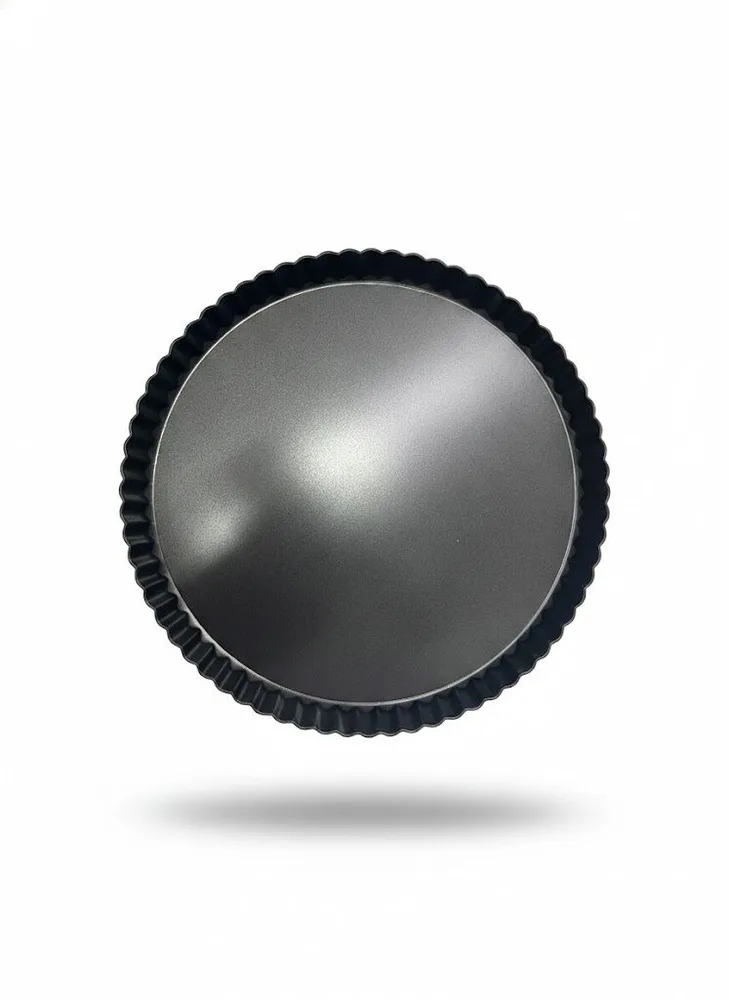 PIZZA TRAY NS L