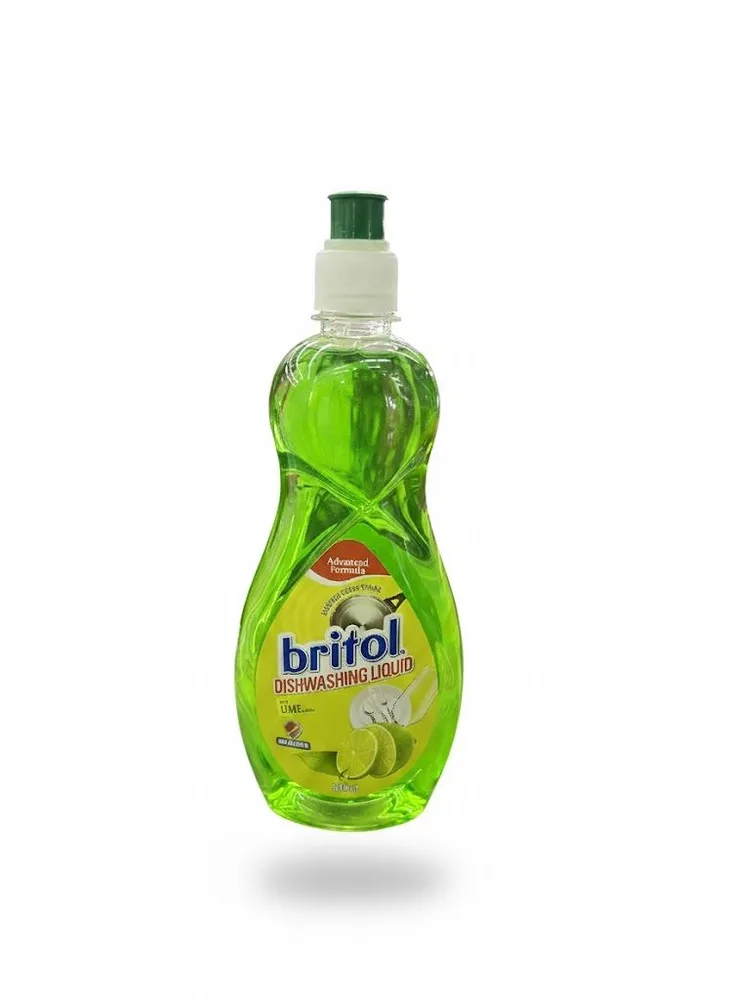BRITOL DISH LQ 500ML