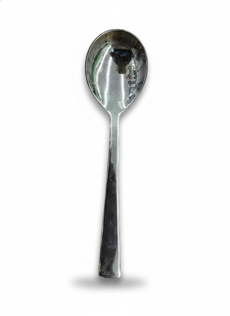 Dayani Super Product SOUP SPOON 14G